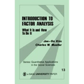 Introduction to Factor Analysis: What It Is and How to Do It