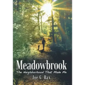 Meadowbrook: The Neighborhood That Made Me