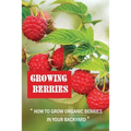Growing Berries: How To Grow Organic Berries In Your Backyard: How To Start Growing Berries