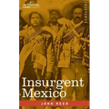 Insurgent Mexico