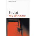 Bird at My Window