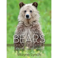 Bears of the North: A Year Inside Their Worlds