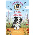 Jasmine Green Rescues: A Collie Called Sky