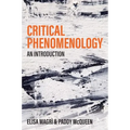 Critical Phenomenology: An Introduction