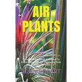 Air Plants: Every Detailed Thing You Need To Know About The Air Plants And How To Care For Them