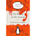 The Broom of the System