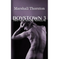 Boystown 3: Two Nick Nowak Novellas