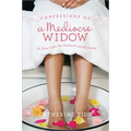 Confessions of a Mediocre Widow: Or, How I Lost My Husband and My Sanity