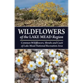 Wildflowers of the Lake Mead Region