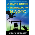 A Cat's Guide to Meddling with Magic
