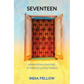 Seventeen: extraordinary journeys of ordinary young Indians