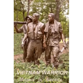 Vietnam Warrior Missing In America