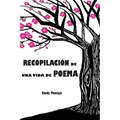 Recopilacion de una vida de poema
