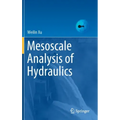 Mesoscale Analysis of Hydraulics