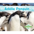 Adélie Penguin