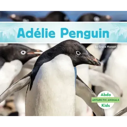 Adélie Penguin