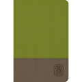 NRSV Wesley Study Bible: Sage Thicket Decotone