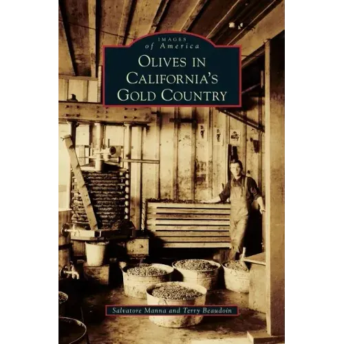 Olives in California's Gold Country