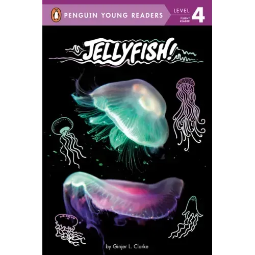 Jellyfish!