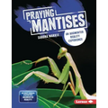 Praying Mantises: An Augmented Reality Experience