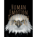 Human Emotion and Artificial Intelligence