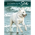 Down by the Sea: Draw and Paint with Watercolor, Acrylic, Pen & Ink