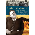 Colored Water: Dixie Through Egyptian Eyes