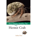 Hermit Crab: Your Happy Healthy Pet