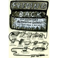 Feeding Back: Conversations with Alternative Guitarists from Proto-Punk to Post-Rock
