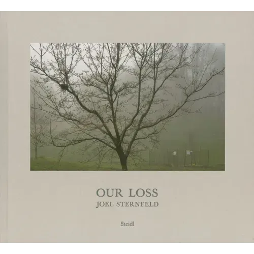 Joel Sternfeld: Our Loss