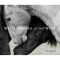 Wild Horses of the West