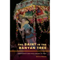 The Saint in the Banyan Tree: Christianity and Caste Society in India Volume 14