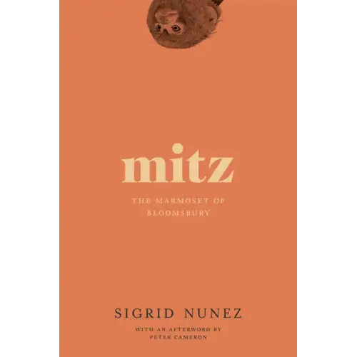 Mitz: The Marmoset of Bloomsbury