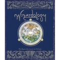 Wizardology: The Book of the Secrets of Merlin