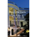 Tiny Little Cracks: Powerful Poems for Your Pocket Collection: Politics and the Pandemic
