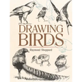 Drawing Birds