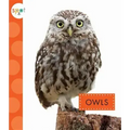 Owls