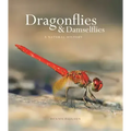 Dragonflies and Damselflies: A Natural History