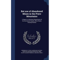 Bat use of Abandoned Mines in the Pryor Mountains: A Report to Montana Department of Environmental Quality, Mine Waste Cleanup Bureau