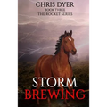 Storm Brewing: Book Three The Rocket Series