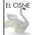 El Cisne