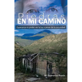 Piedras en mi Camino