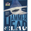 Hammerhead Sharks