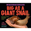 Big as a Giant Snail