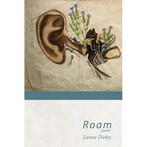 Roam