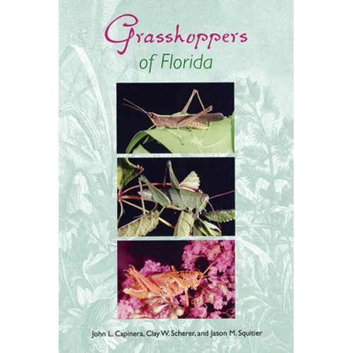 Grasshoppers of Florida