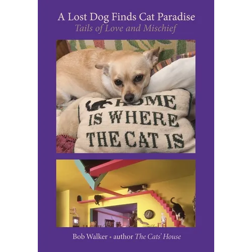 A Lost Dog Finds Cat Paradise: Tails of Love and Mischief