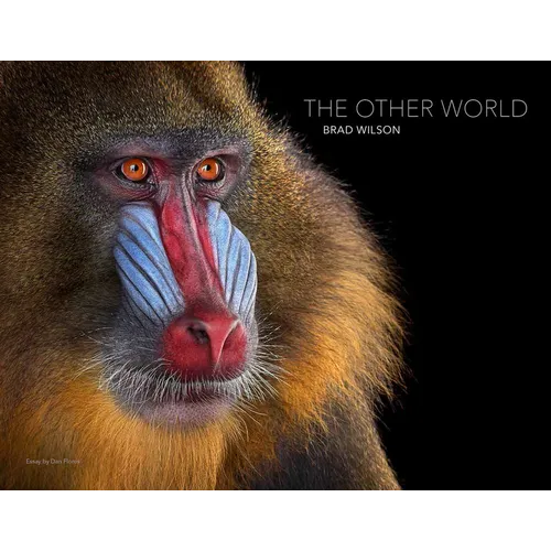 Brad Wilson: The Other World: Animal Portraits