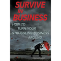 Survive in Business: How to Turn Your Struggling Business Around