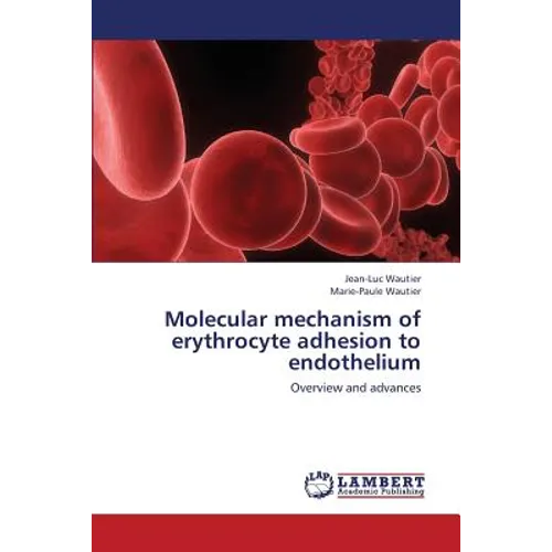 Molecular Mechanism of Erythrocyte Adhesion to Endothelium